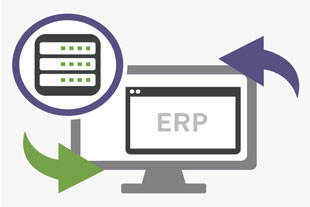 ERP software integration